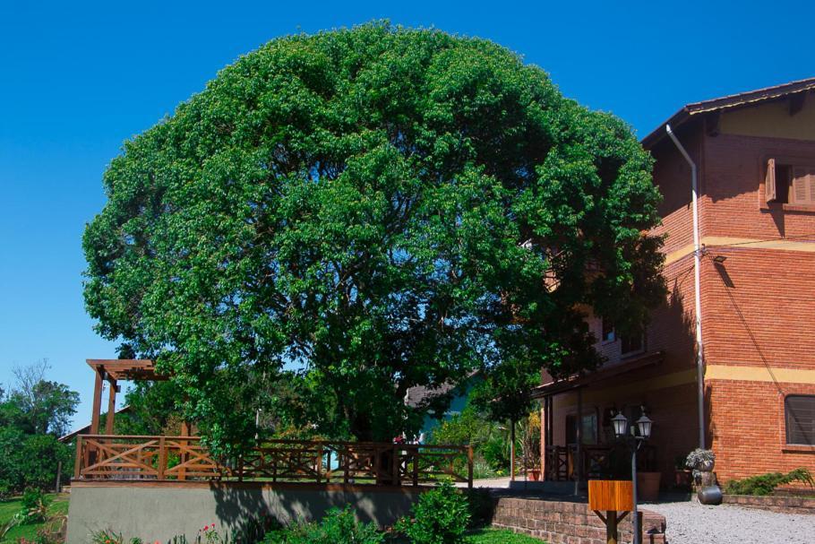 Pousada Villa Romantica 新彼得罗波利斯 外观 照片